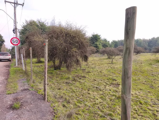 Parcela 5.000 m² Pangue Arriba – $24.990.000 (180428) - Imagen 5