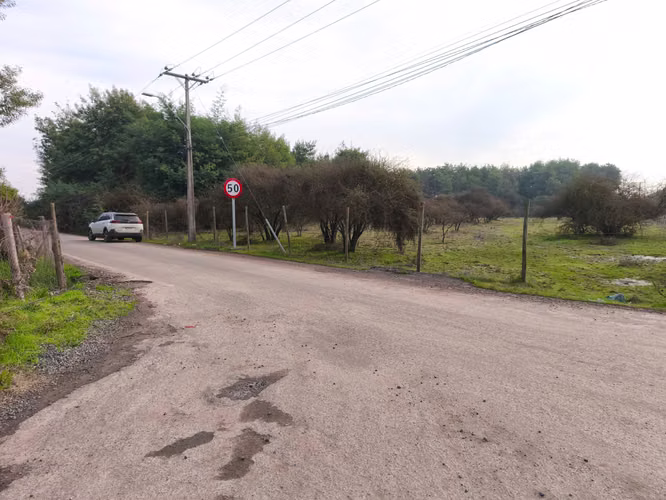 Parcela 5.000 m² Pangue Arriba – $24.990.000 (180428) - Imagen 4