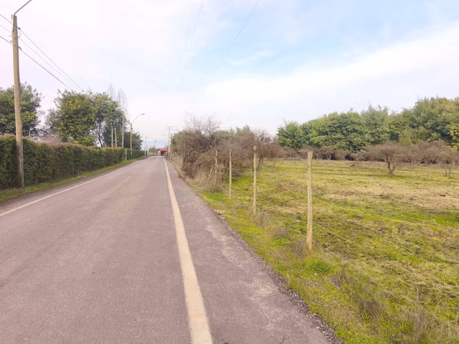 Parcela 5.000 m² Pangue Arriba – $24.990.000 (180428) - Imagen 8