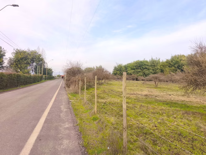 Parcela 5.000 m² Pangue Arriba – $24.990.000 (180428) - Imagen 9