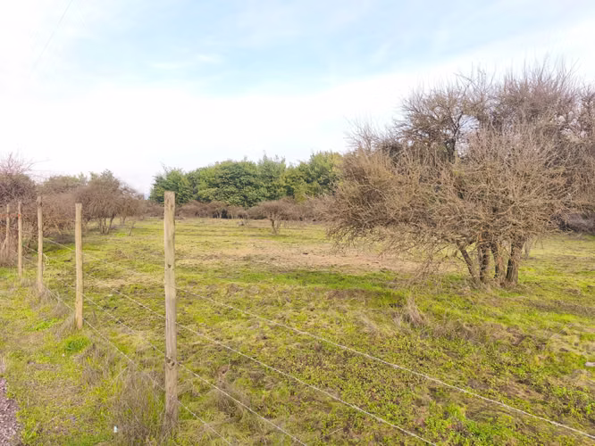 Parcela 5.000 m² Pangue Arriba – $24.990.000 (180428) - Imagen 10