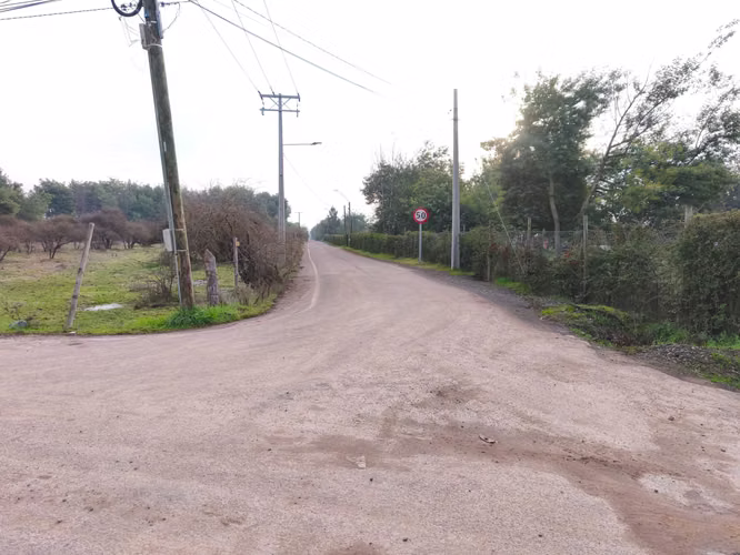 Parcela 5.000 m² Pangue Arriba – $24.990.000 (180428) - Imagen 3