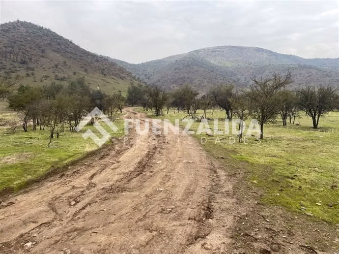 Las Brisas de Chicureo - sitio privilegiado - Imagen 5