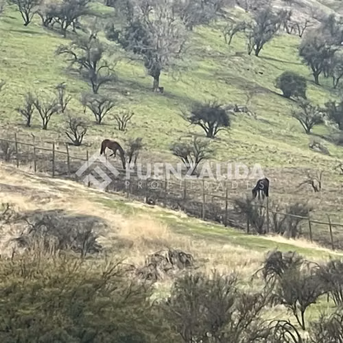Las Brisas de Chicureo - sitio privilegiado - Imagen 15