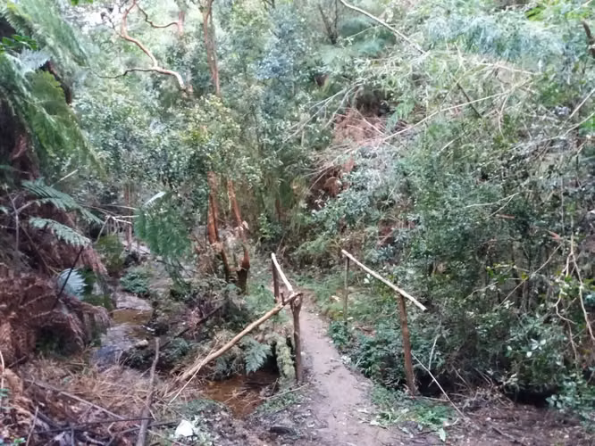 Sitio con Rol propio en Bahía Mansa - Región de los Lagos