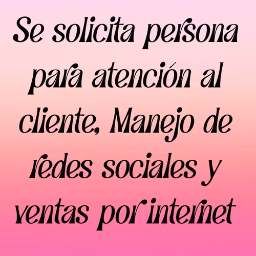 Atención al cliente, Manejo de redes sociales y ventas por internet