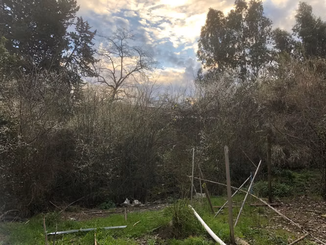Vendo Sitio de 2.750 m2, Corinto, Pencahue - Imagen 3