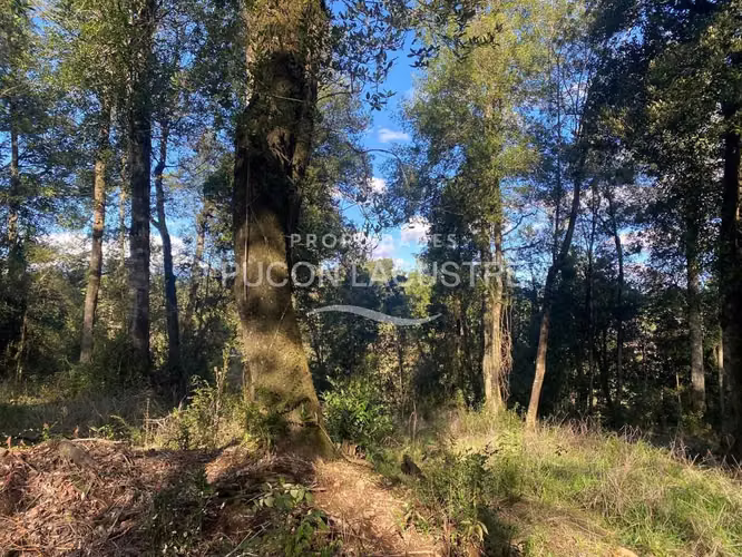 PARCELA CONDOMINIO FDO ARTHUR PTO VARA CON RIO  (180474) - Imagen 13