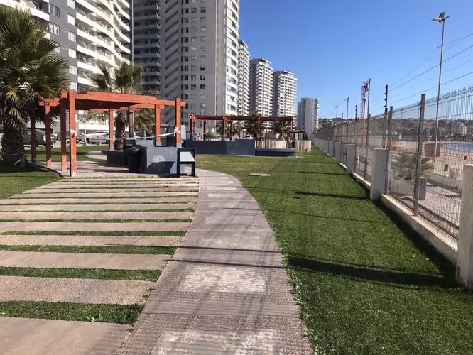 Increíble Conexión y Luminosidad frente al ma (180476)