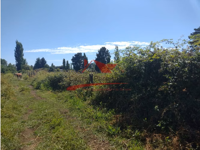 Terreno de Una Hectarea, Los Ángeles, Región del Bio Bio.
