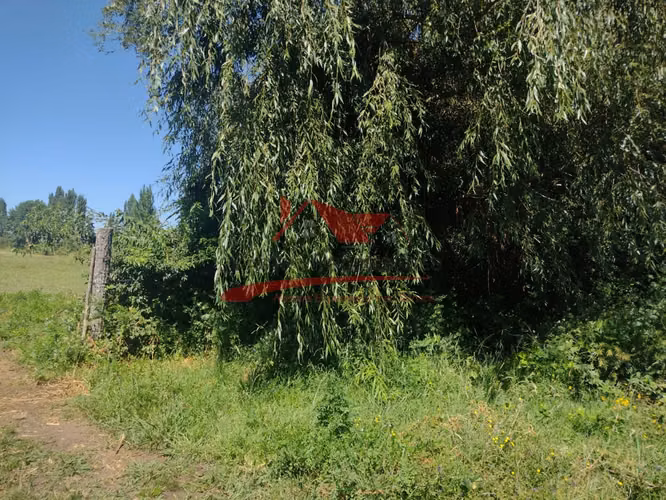 Terreno de Una Hectarea, Los Ángeles, Región del Bio Bio.