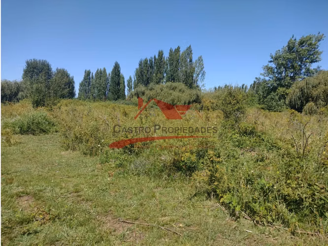 Terreno de Una Hectarea, Los Ángeles, Región del Bio Bio.