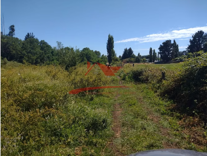 Terreno de Una Hectarea, Los Ángeles, Región del Bio Bio.