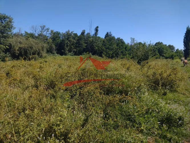 Terreno de Una Hectarea, Los Ángeles, Región del Bio Bio.