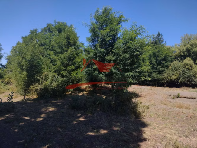 Terreno de Una Hectarea, Los Ángeles, Región del Bio Bio.