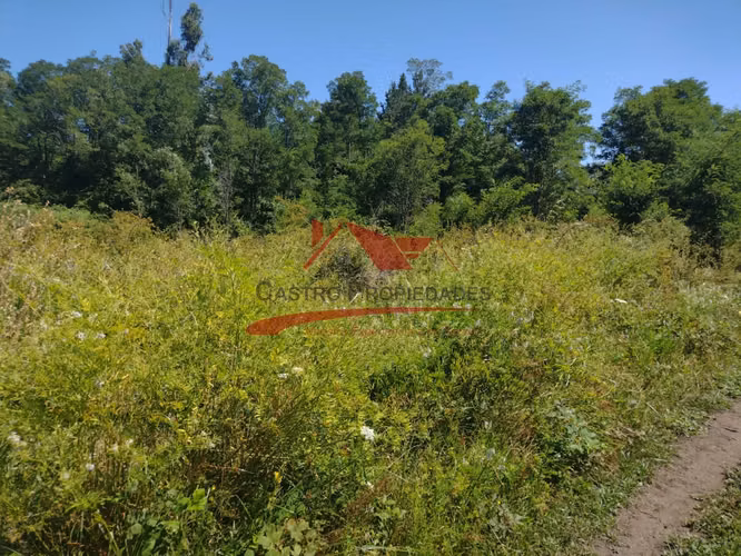 Terreno de Una Hectarea, Los Ángeles, Región del Bio Bio.