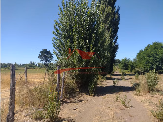 Terreno de Una Hectarea, Los Ángeles, Región del Bio Bio.