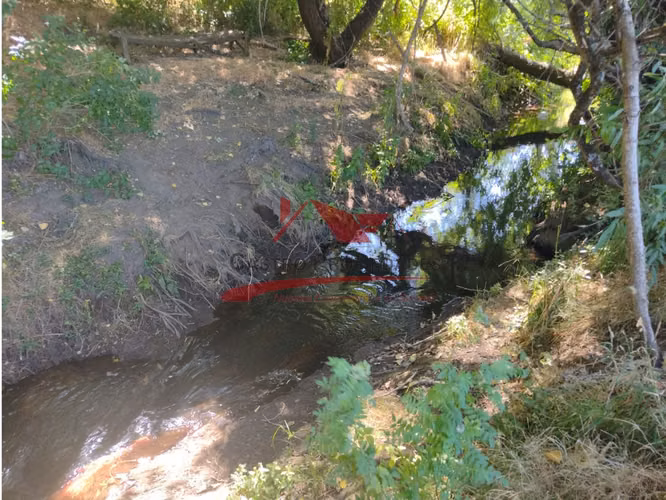 Terreno de Una Hectarea, Los Ángeles, Región del Bio Bio.