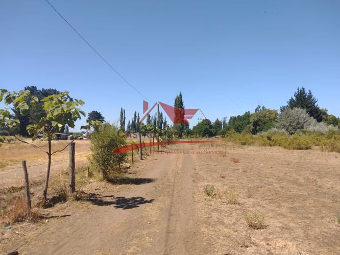 Terreno de Una Hectarea, Los Ángeles, Región del Bio Bio.