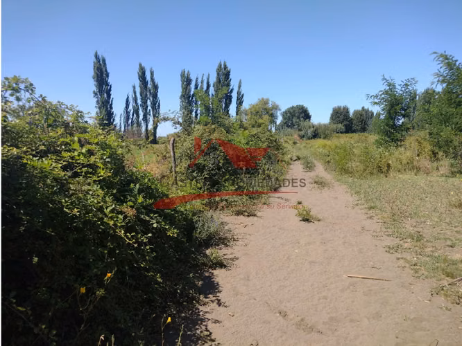 Terreno de Una Hectarea, Los Ángeles, Región del Bio Bio.