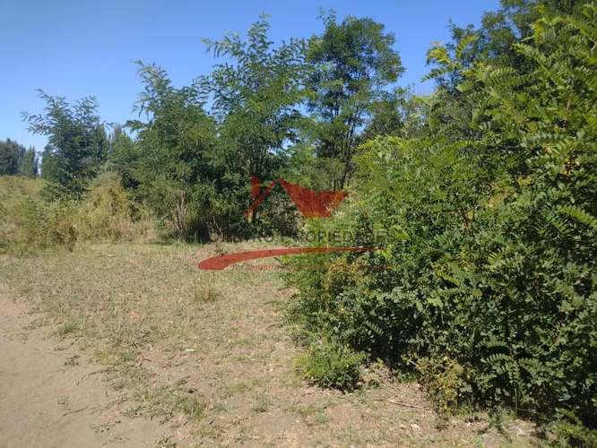 Terreno de Una Hectarea, Los Ángeles, Región del Bio Bio.