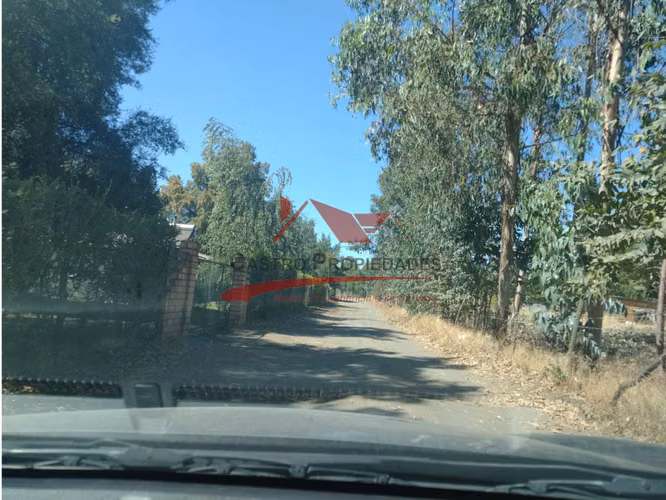 Terreno de Una Hectarea, Los Ángeles, Región del Bio Bio.
