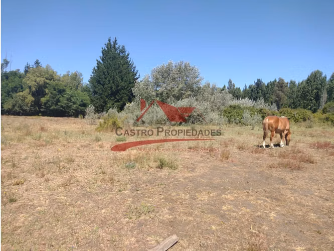 Terreno de Una Hectarea, Los Ángeles, Región del Bio Bio.