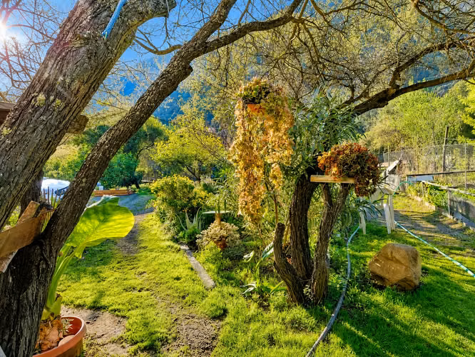 Hermosa Casa 5D/2B con piscina y bosque nativo - Imagen 12