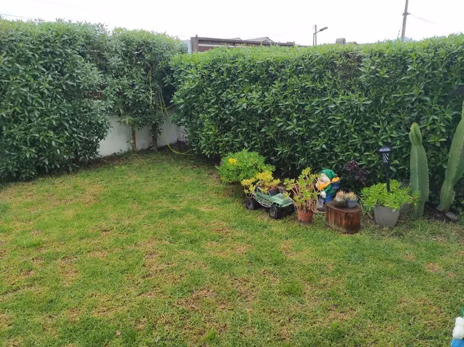 Linda Casa en La Serena - Imagen 2