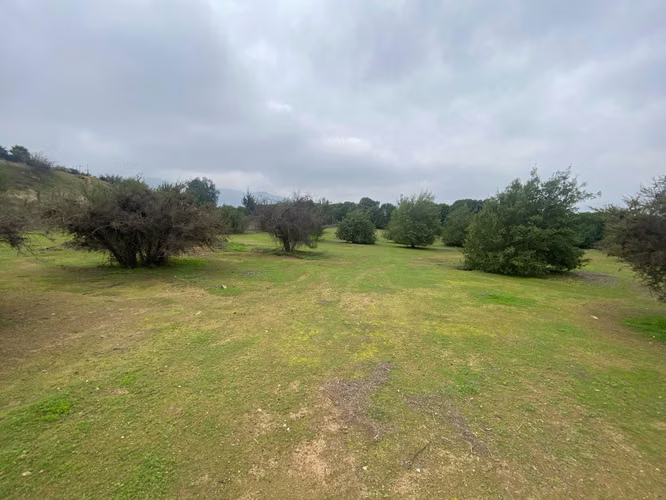 5250m2 Condominio Alto el Rosario P Hurtado  (180493)