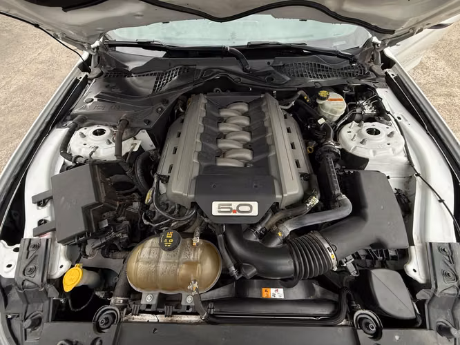 FORD MUSTANG  2016