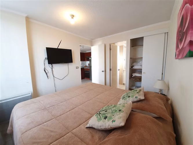 Departamento en arriendo de 1dormitorio y 1baño en Santiago - Imagen 12