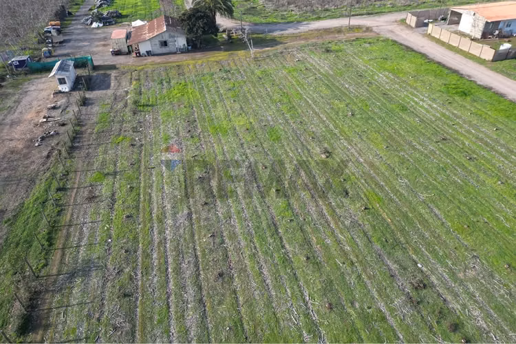 Parcela 5000 mt2 colina, cercana chicureo - Imagen 10