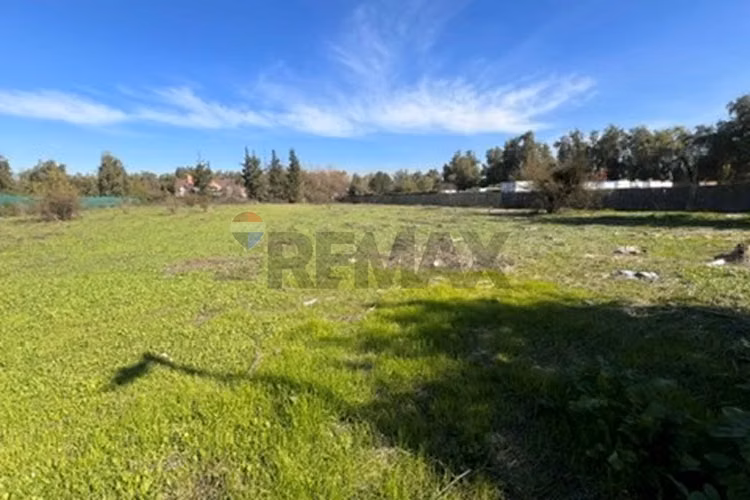 Venta terreno chicureo urbanizado luz y agua - Imagen 14