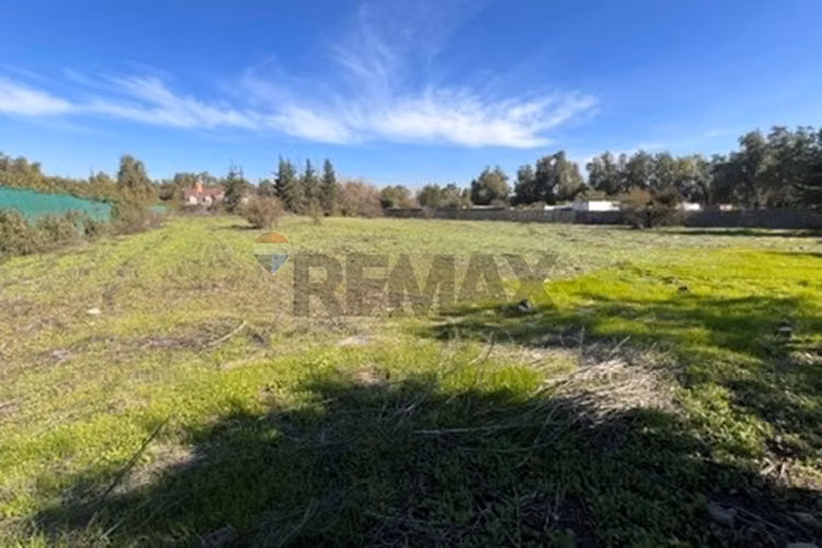 Venta terreno chicureo urbanizado luz y agua - Imagen 12