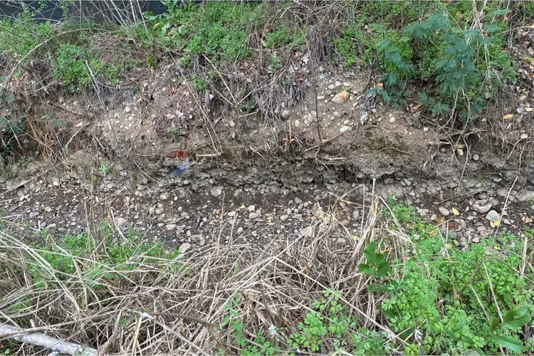 Parcela en venta con casa, los cristales, curicó.