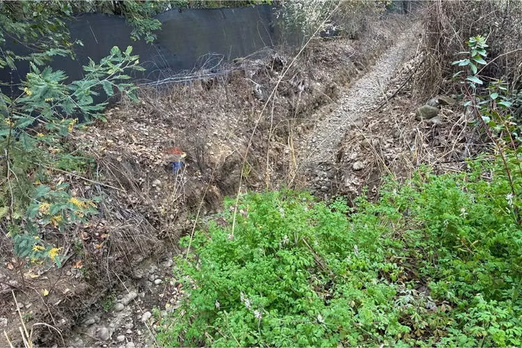 Parcela en venta con casa, los cristales, curicó.