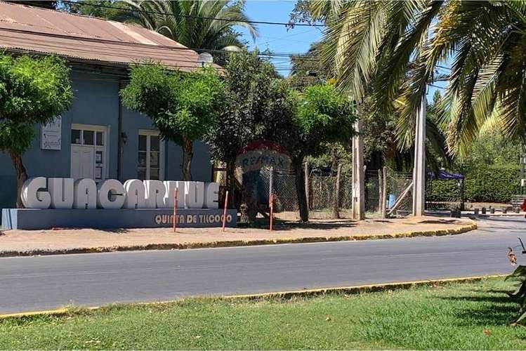 Parcela con casa sector guacarhue comuna tilcoco - Imagen 33