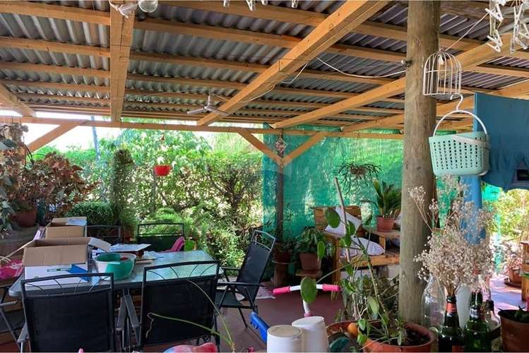 Parcela con casa sector guacarhue comuna tilcoco - Imagen 17