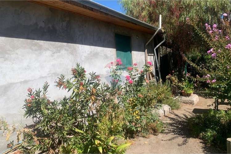 Parcela con casa sector guacarhue comuna tilcoco - Imagen 7