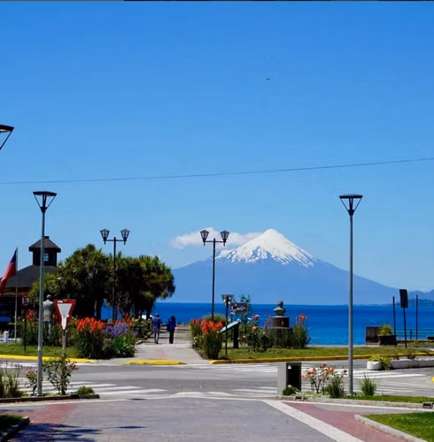 Parcela 5.000 m² con 2 Casas en Condominio. Puerto Varas - Imagen 15