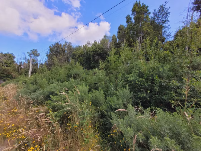 Parcela 5.000 m² con 2 Casas en Condominio. Puerto Varas - Imagen 2