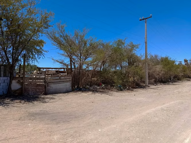 TERRENO EN VENTA EN LA TIRANA - 5.000 M² - ROL PROPIO
