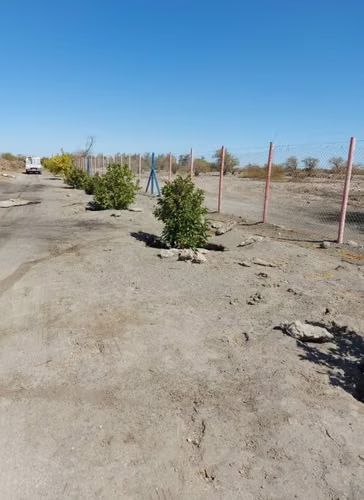 Terreno 37.800 m² con infraestructura autosustentable en La