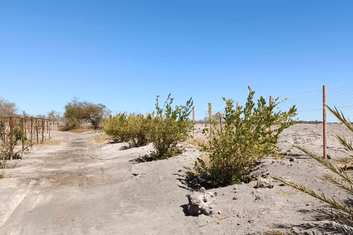 Terreno 37.800 m² con infraestructura autosustentable en La