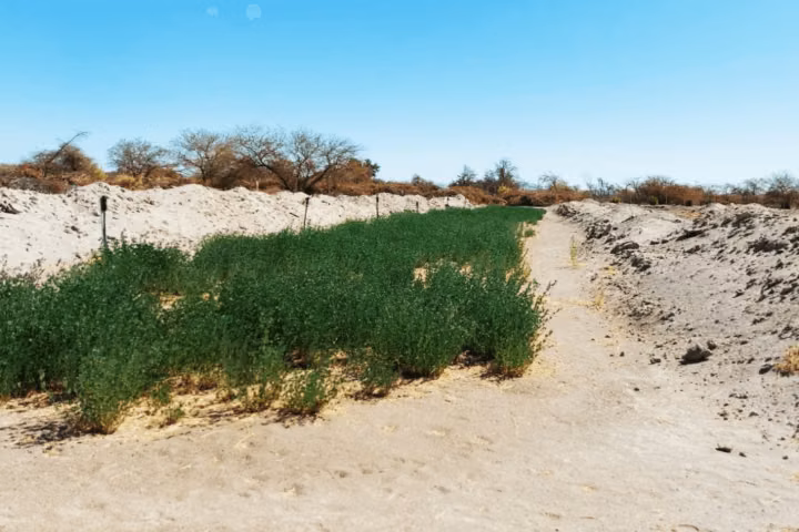 Terreno 37.800 m² con infraestructura autosustentable en La