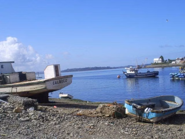 Industrial en venta en Calbuco