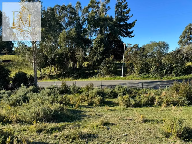 Se vende terreno a pasos del aeródromo de Palqui Curaco de Vélez