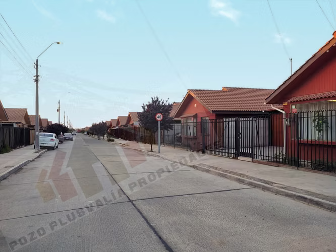 Se arrienda, Hacienda el Pino, Año corrido, La Serena