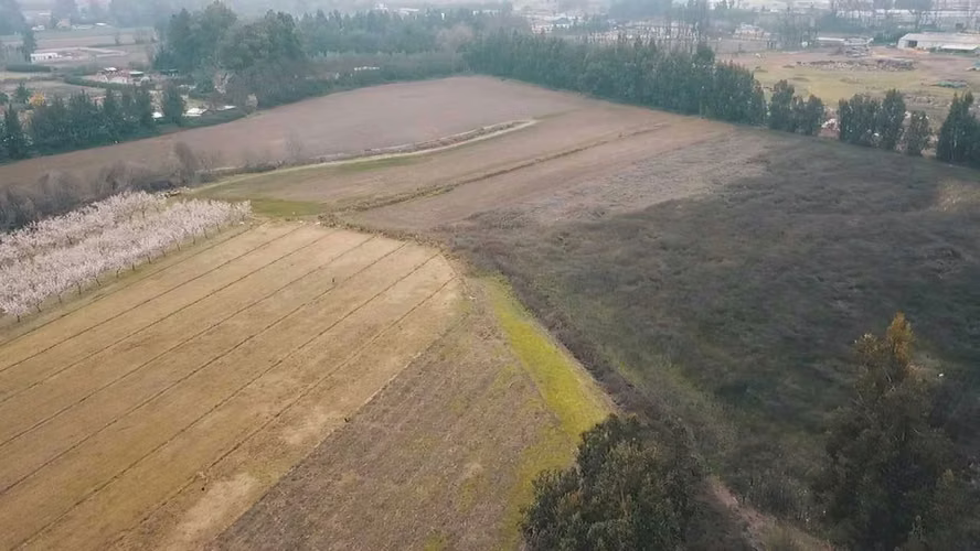 Terreno 40.000 m² | Paine Ruta 5 Sur (180368) - Imagen 8
